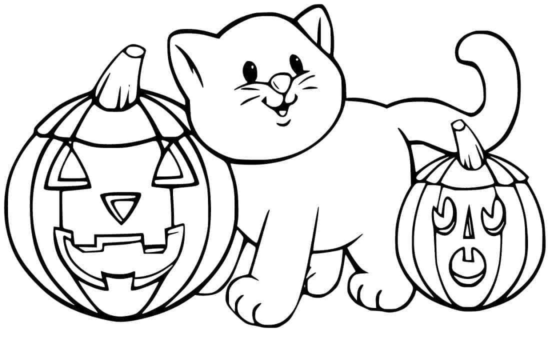 Halloween cat and pumpkins coloring page