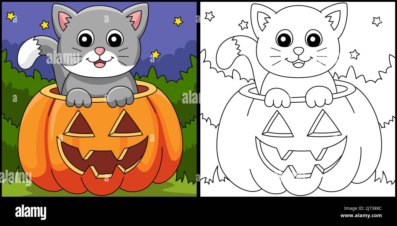 Pumpkin cat halloween coloring page illustration stock vector image art