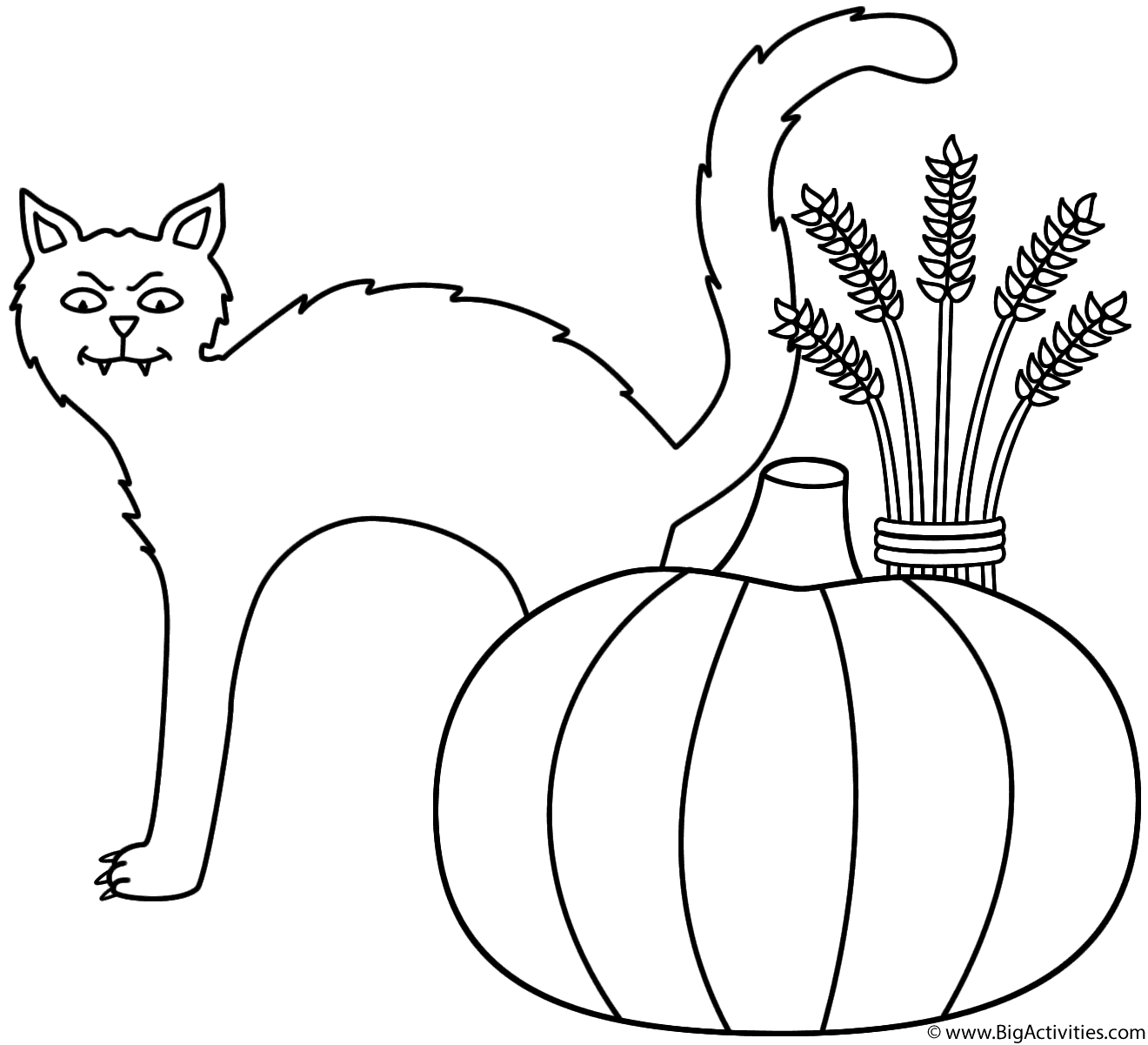 Black cat with pumpkin and wheat sheaf