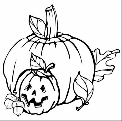 Coloring pages blank pumpkin coloring pages