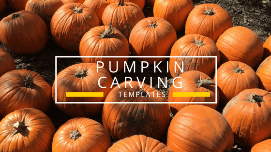 Circus pumpkin carving templates and coloring sheet