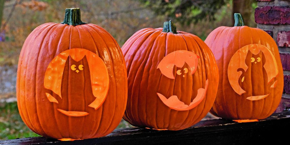 Free printable pumpkin carving stencils and patterns