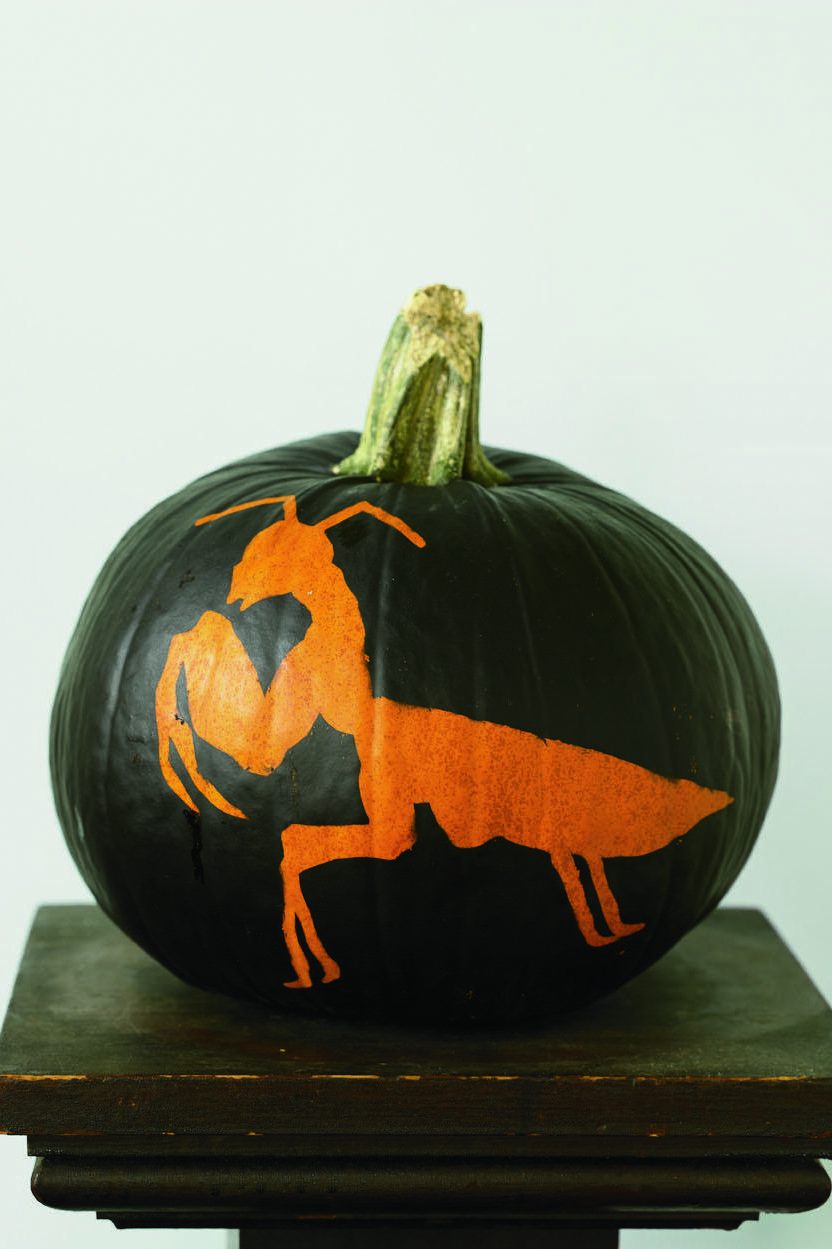 Free printable pumpkin carving stencils and patterns