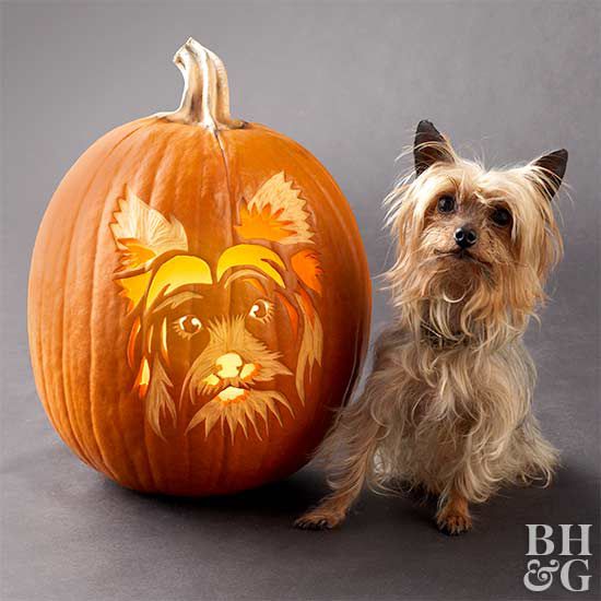 Free fun and easy dog pumpkin carving stencils