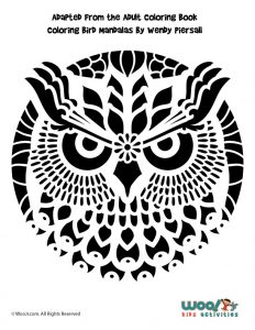 Owl pumpkin carving stencils woo jr kids activities childrens publishing