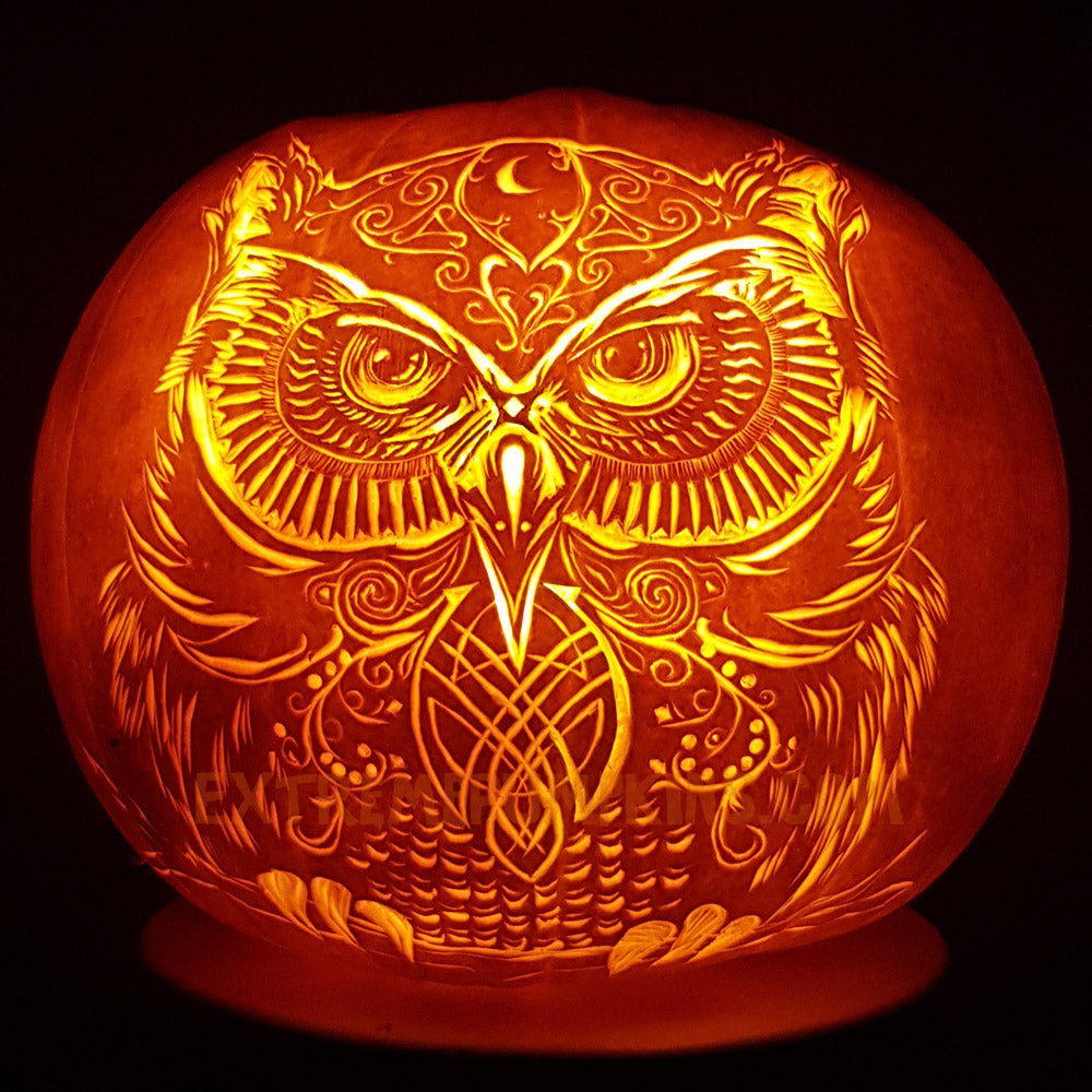 Finely carved owl pumpkin