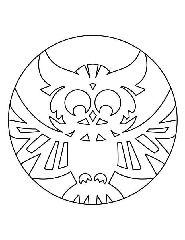 Owl shape