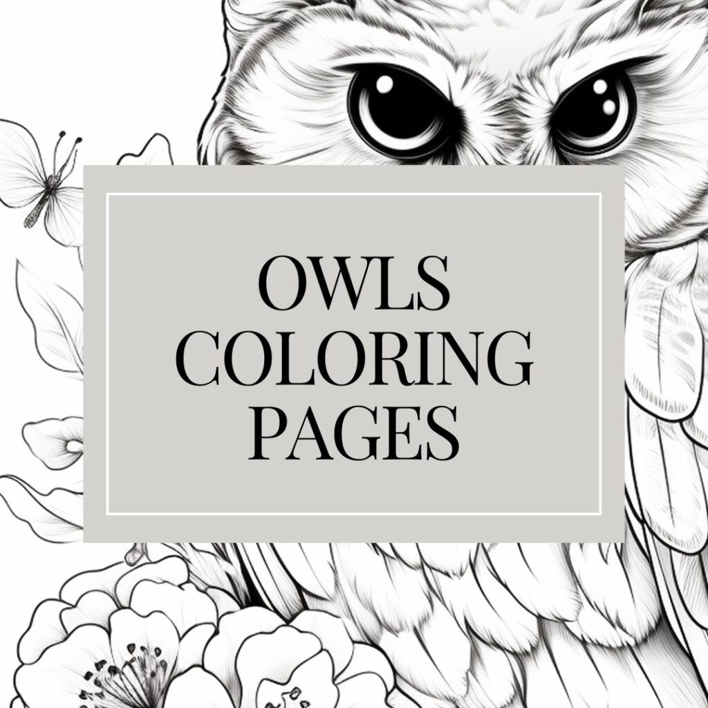 Owls coloring pages for kids and adults