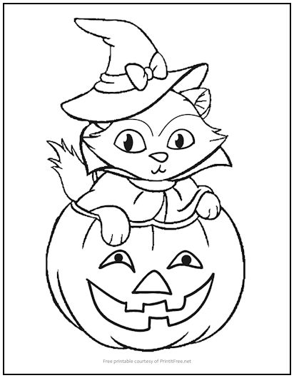 Kitten in pumpkin halloween coloring page print it free