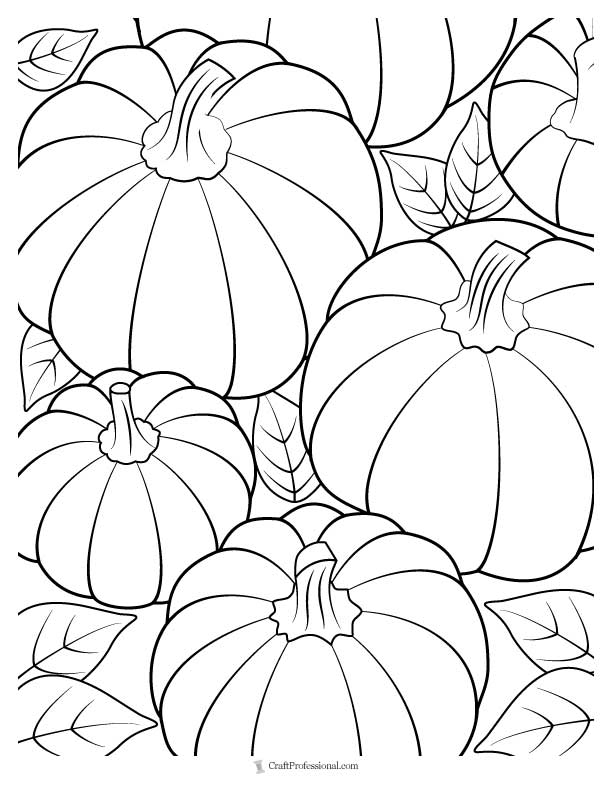 Pumpkin coloring pages