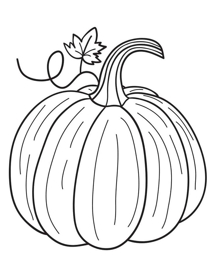 Pumpkin drawing coloring page