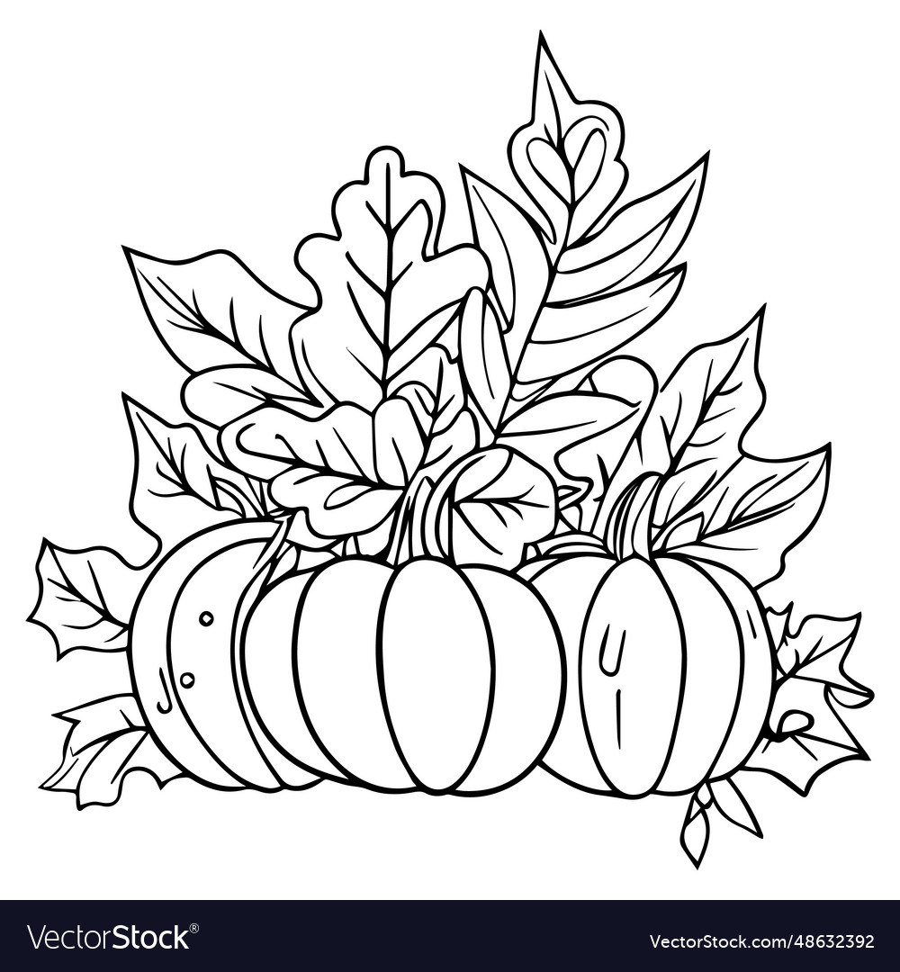 Fall coloring pages for adults pumpkin royalty free vector