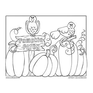 Pumpkin patch coloring page