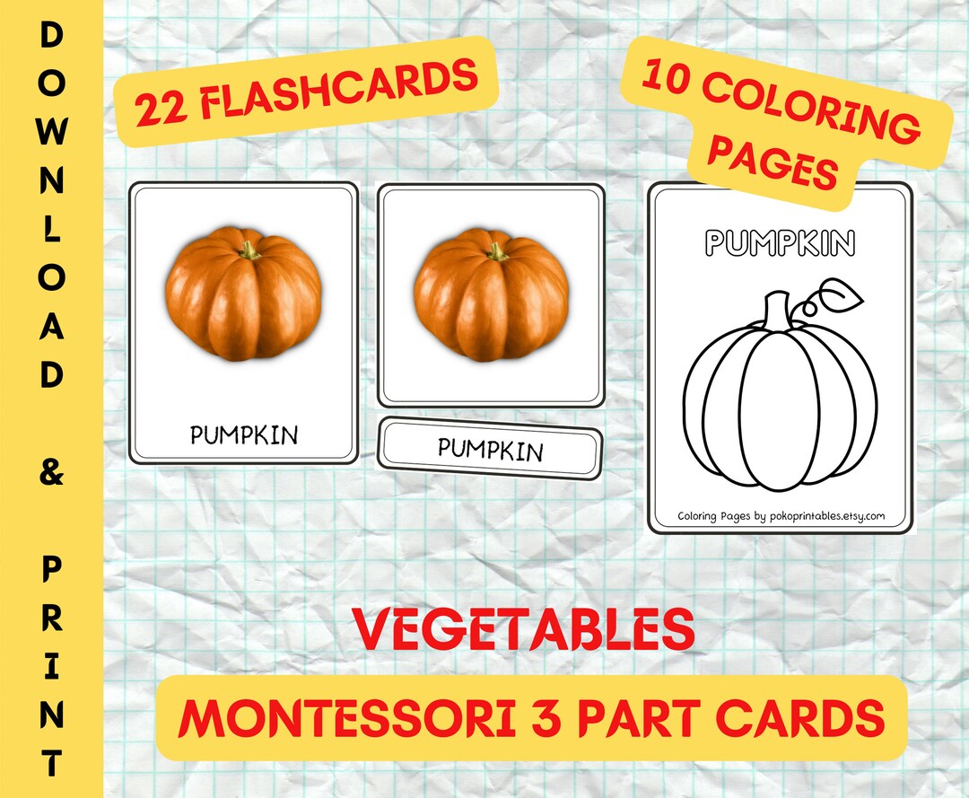 Vegetable flashcards vegatable coloring page nomenclature cards vegetable part card printable card games