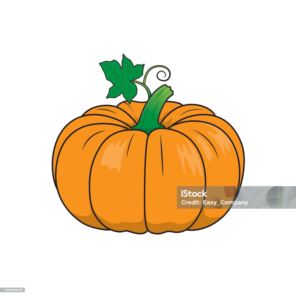 Vector illustration of pumpkin isolated on white background organic vegetables and fruits cartoon concepts education and school kids coloring page printable activity worksheet flashcard stock illustration