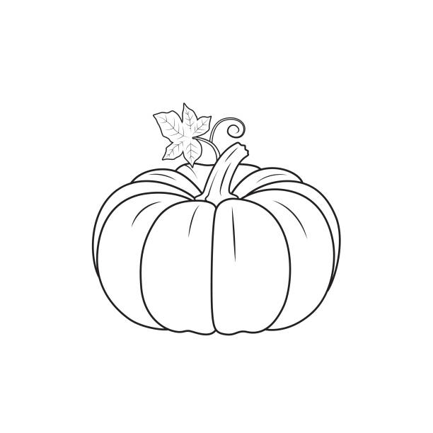 Vector illustration of pumpkin isolated on white background organic vegetables and fruits cartoon concepts education and school kids coloring page printable activity worksheet flashcard stock illustration