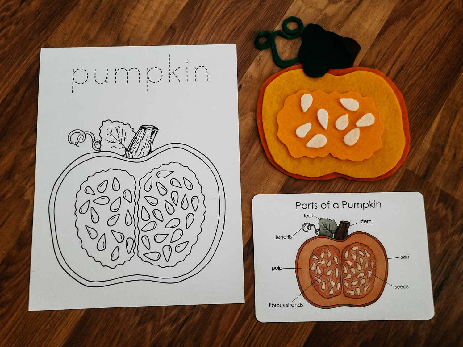 Pumpkin mini study â stephanie hathaway designs