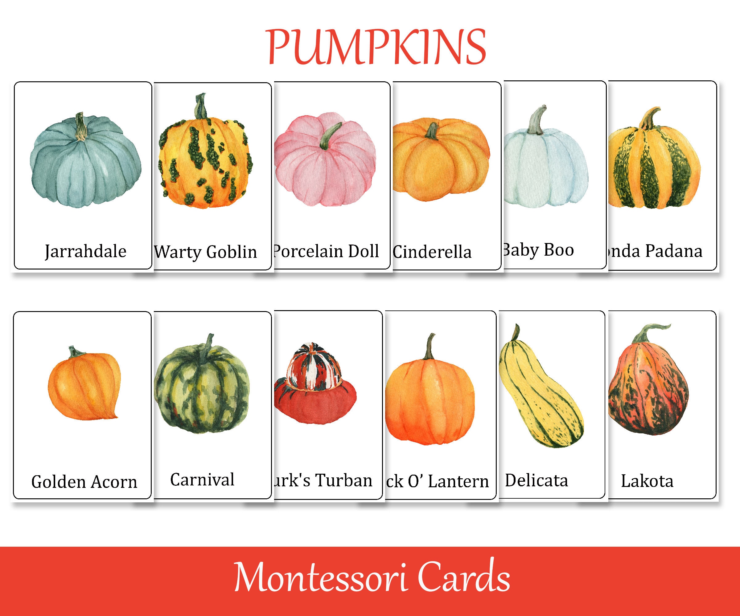 Pumpkins montessori part cards fall preschool flash cards nomenclature cards printable educational materials