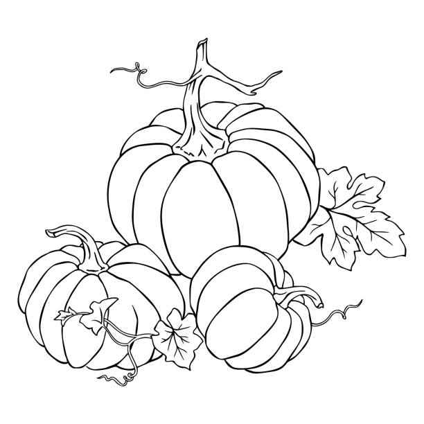 Pumpkin coloring page stock photos pictures royalty