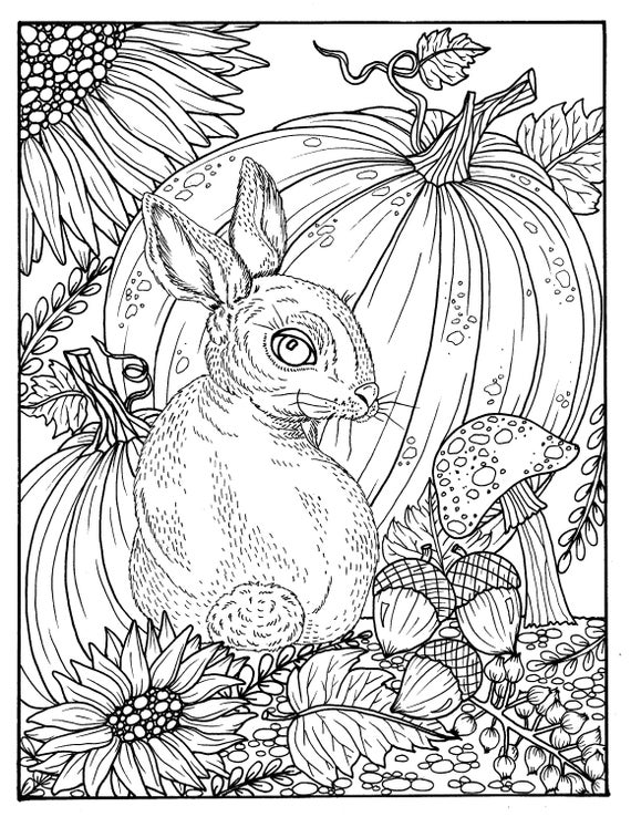 Fall bunny and pumpkin coloring page digital digi adult coloring coloring pages coloring books thanksgiving