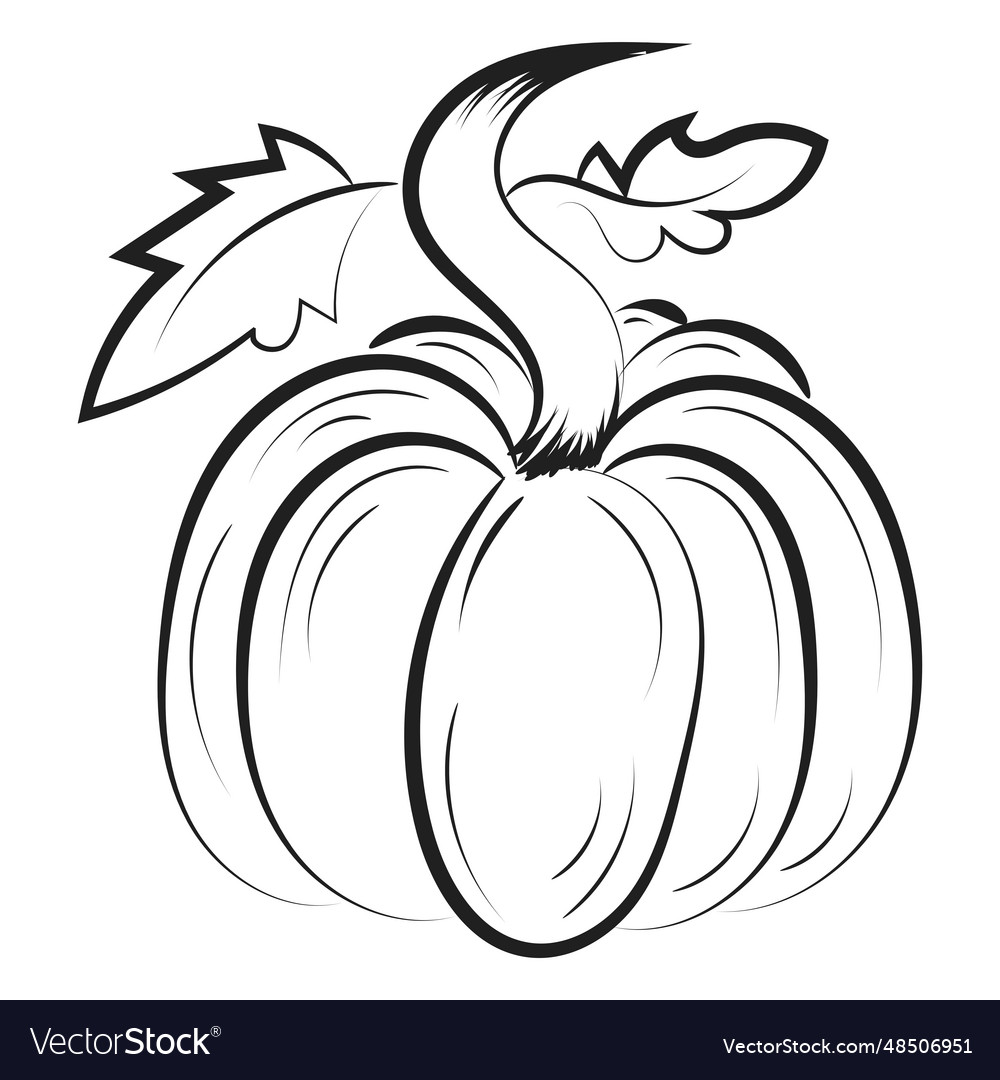 Printable pumpkin coloring pages for kids vector image