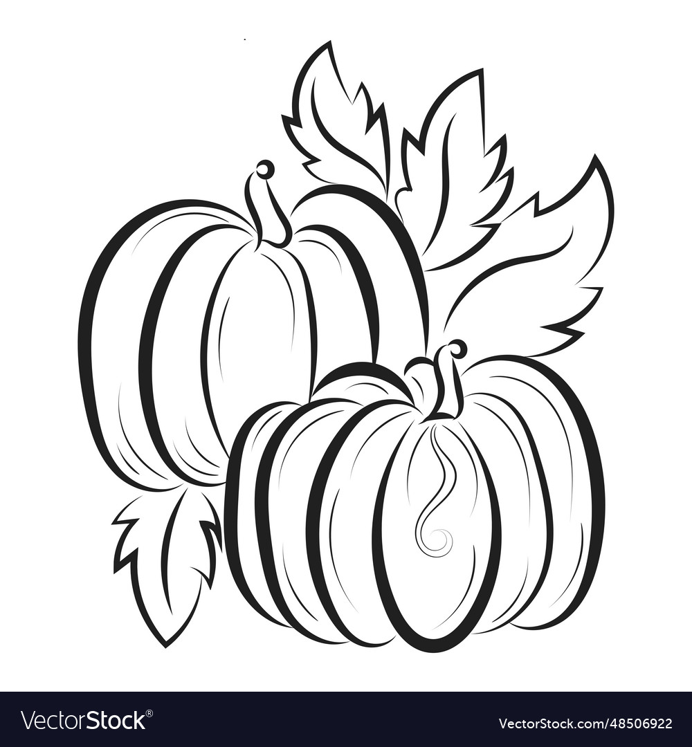 Printable pumpkin coloring pages for kids vector image