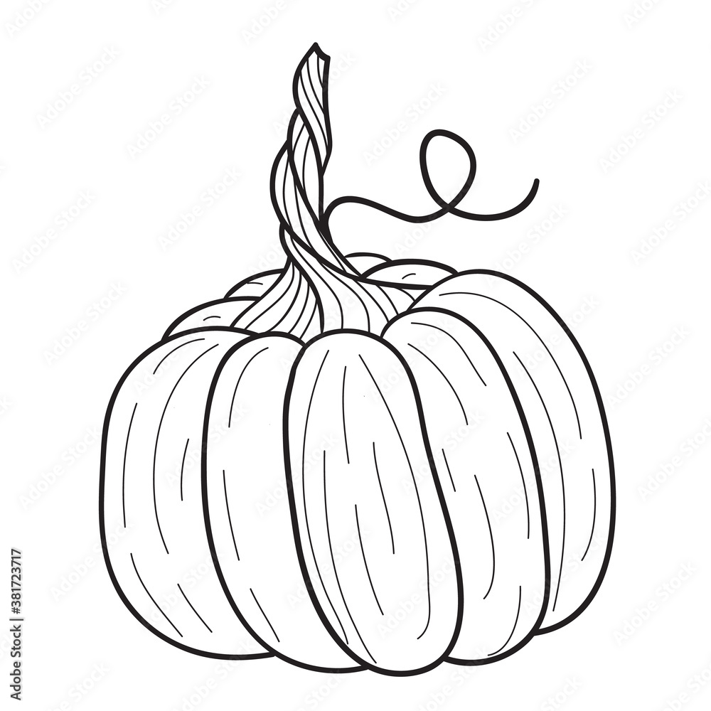 Pumpkin for coloring book line art design for kids coloring pageisolated on white backgroundvector illustration vector