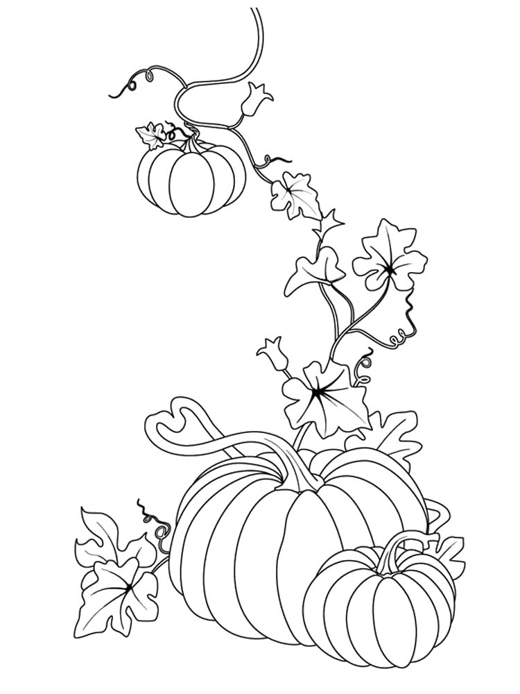Pumpkin with leaves coloring page