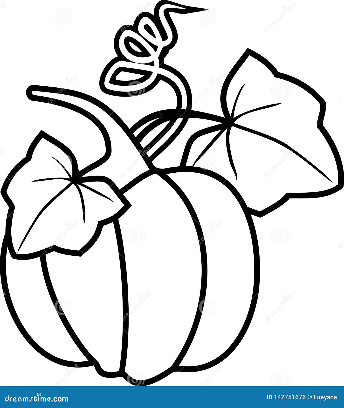 Coloring page with ripe pumpkin with tendril and two leaves stock vector