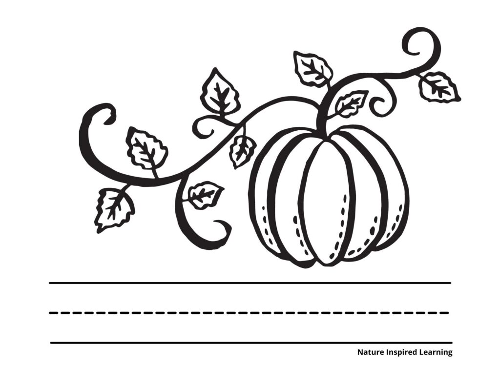 Pumpkin coloring pages