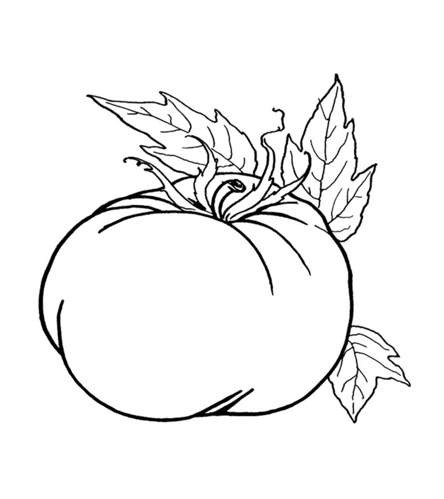 Top free printable pumpkin coloring pages online