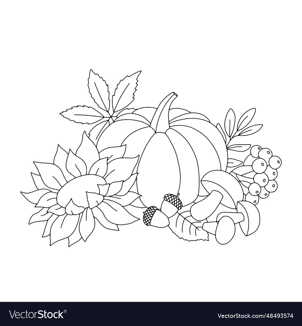 Outline autumn position with sunflower pumpkin vector image