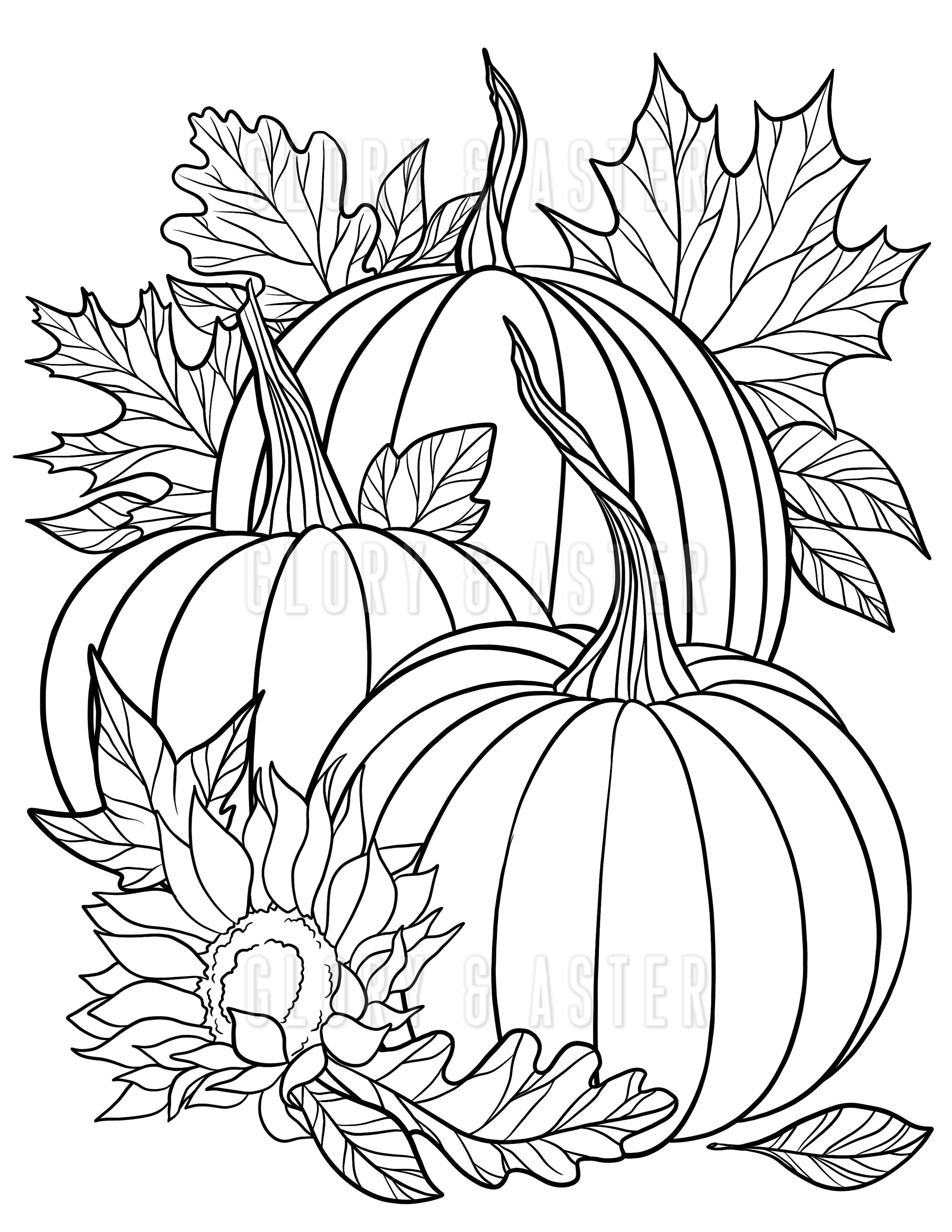 Fall florals pumpkin coloring page coloring sheets autumn coloring page instant download floral coloring adult coloring book