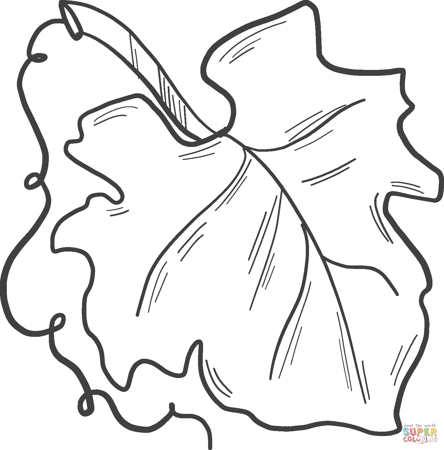 Pumpkin leaf coloring page free printable coloring pages