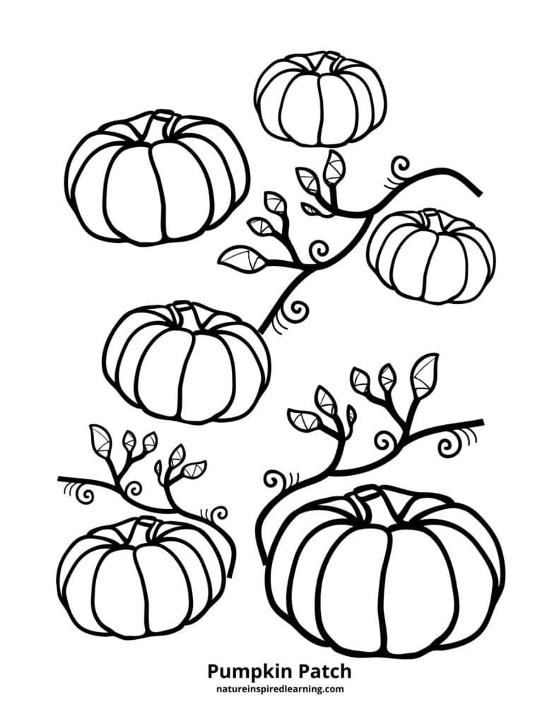 Pumpkin coloring pages