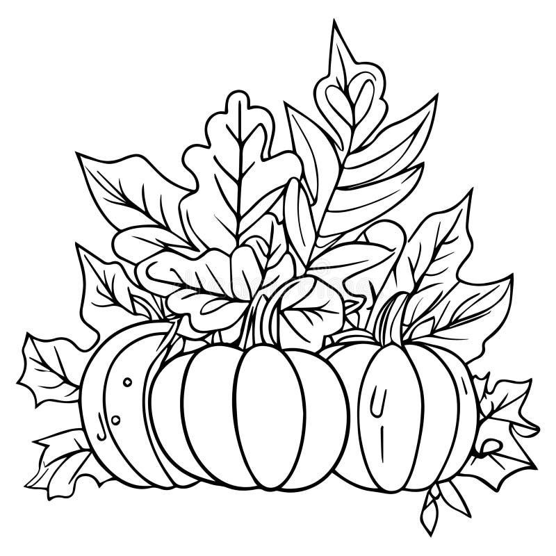 Pumpkin coloring pages stock illustrations â pumpkin coloring pages stock illustrations vectors clipart