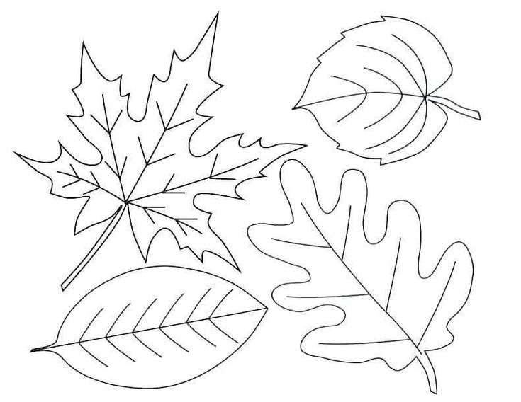 Free printable fall leaves coloring pages leaf coloring page fall coloring pages pumpkin coloring pages