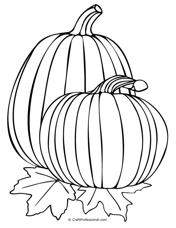 Pumpkin coloring pages