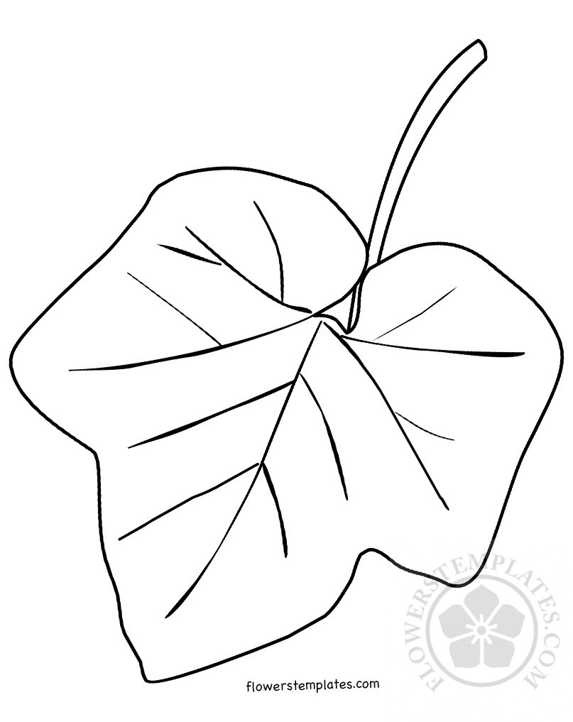 Pumpkin leaf template