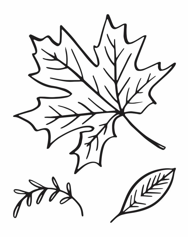 Printable leaf template leaf template printable pumpkin carving templates