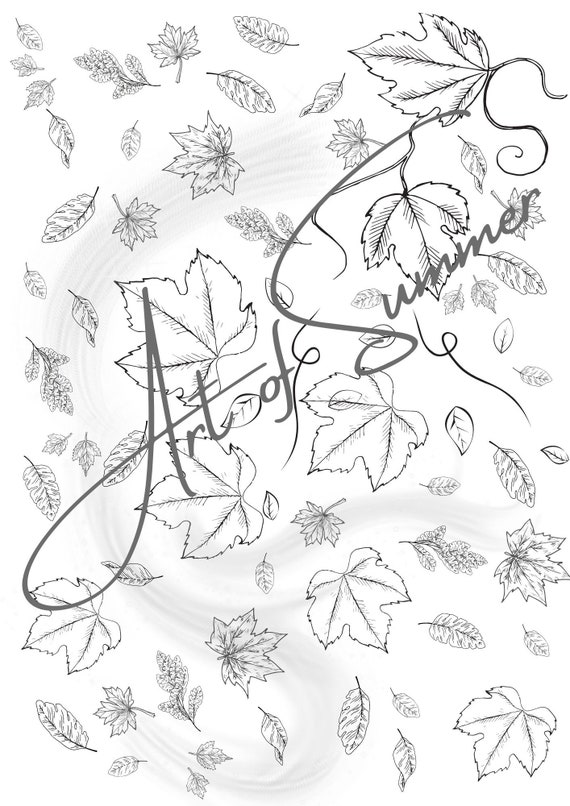 Pumpkin coloring page fall leaves coloring page adult coloring pages detailed coloring page instant download pages