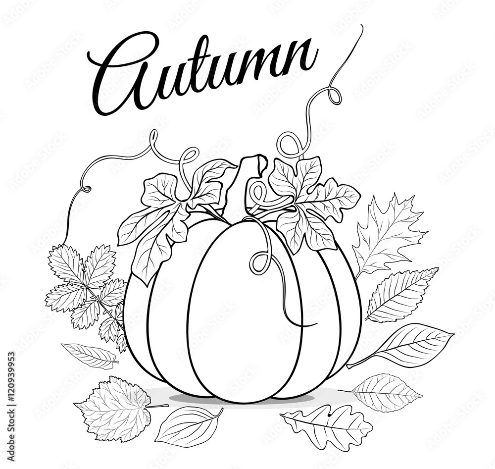 Autumn background with pumpkin and leaves for coloring book vect vector