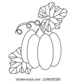 Pumpkin leaves coloring book kids hand stock vector royalty free