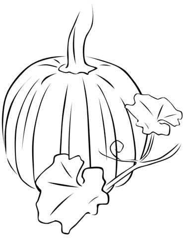 Pumpkin with leaves coloring page free printable coloring pages