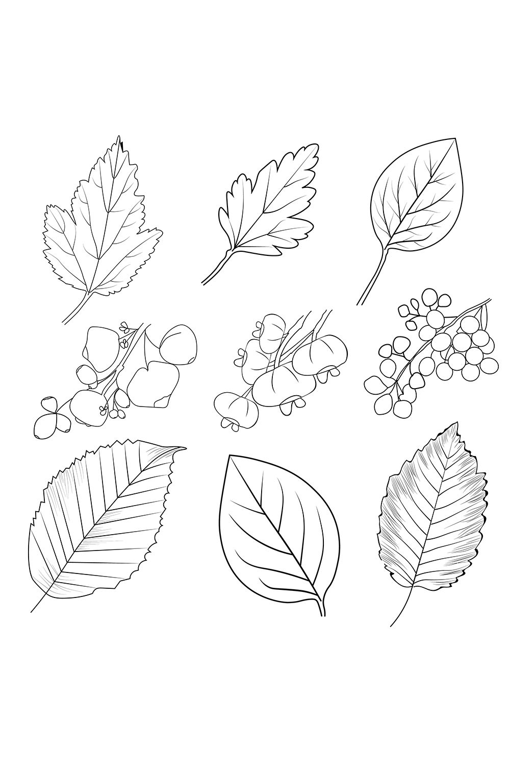 Set of autumn falling leaves vegetables pumpkin wheat grains leaf bell paper food nature thanksgiving coloring sheet free printable coloring pages