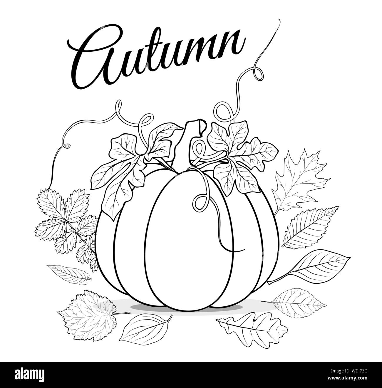 Autumn background with pumpkin and leaves for coloring book vector stock vector image art