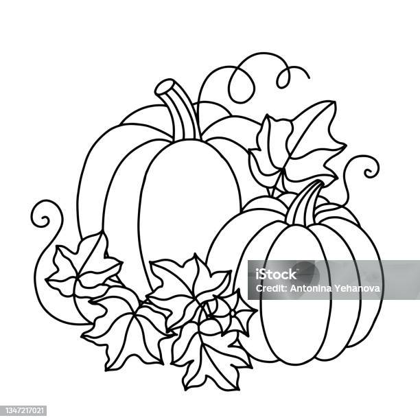 Coloring book with pumpkins and leaves stock illustration