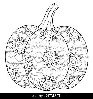 Outlined autumn pumpkin coloring book page in botanical style stock vector image art