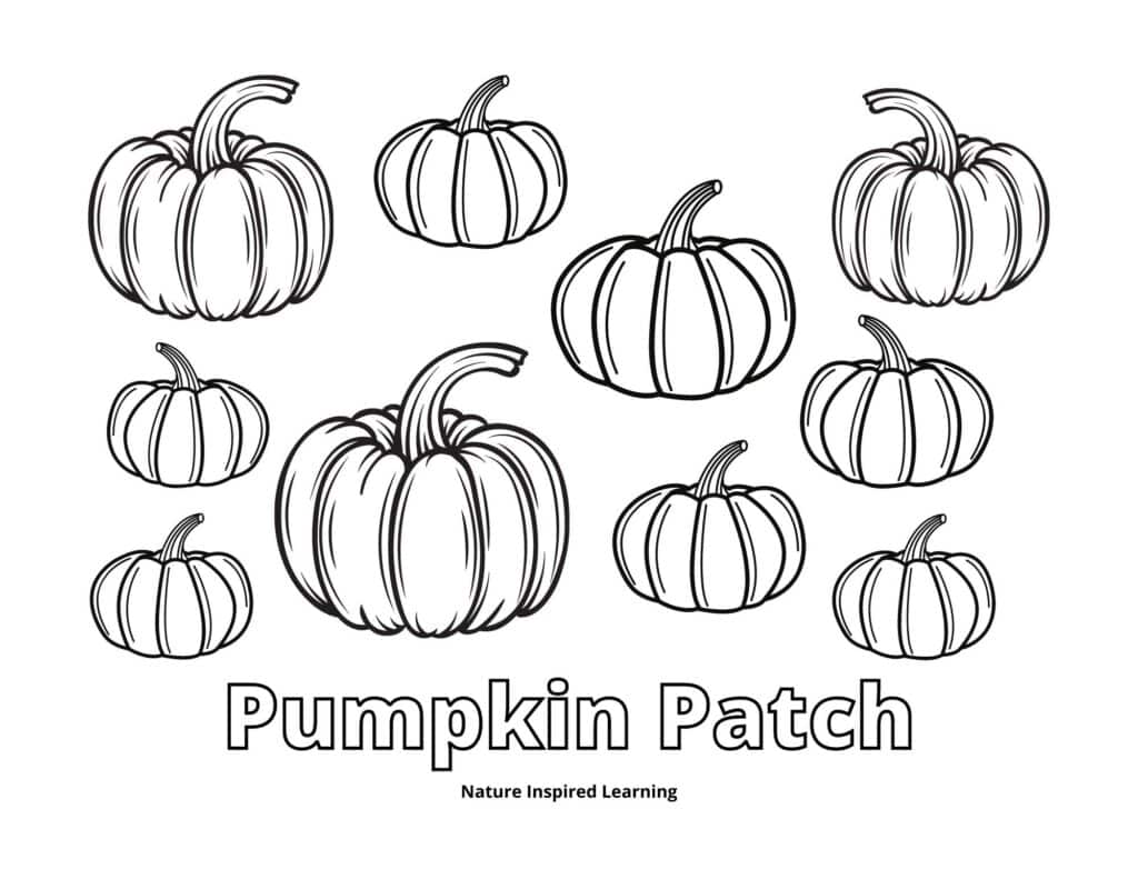 Pumpkin coloring pages