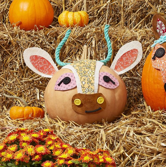 Best pumpkin craft and project ideas for kids